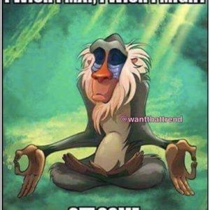 Meet your Posher, Ramona